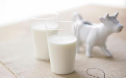 空腹能喝牛奶吗？这些禁忌要记牢！