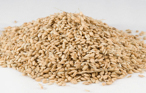 大米价格因早稻缓慢上市成稳中偏弱之势