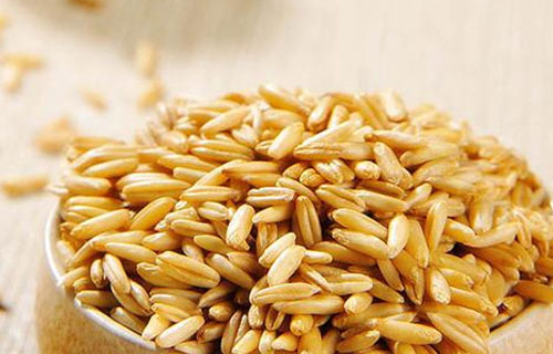 小麦价格还能上涨吗？
