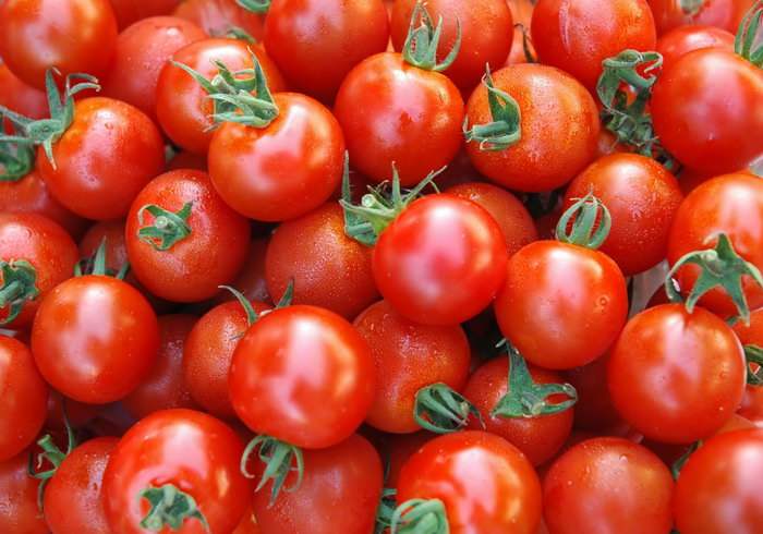 怎么给西红柿快速的去皮？