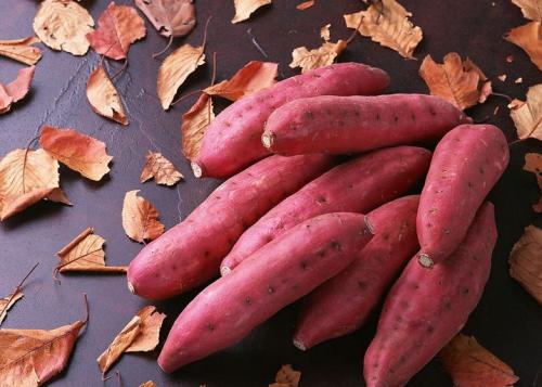 杨奇红薯淀粉让你味蕾需要，舌尖缠绕！