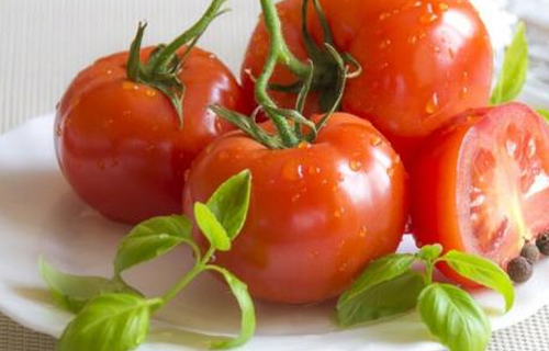 如何保存西红柿，才能延长保鲜期？