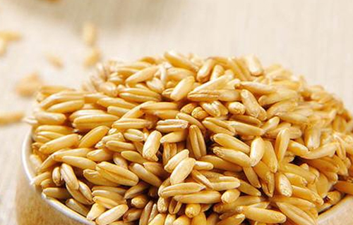 优质小麦市场收购价格持续提升