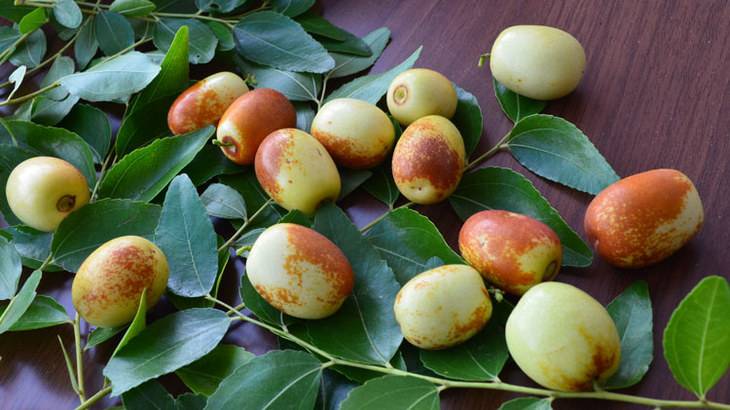 秋季这5种水果最养生！
