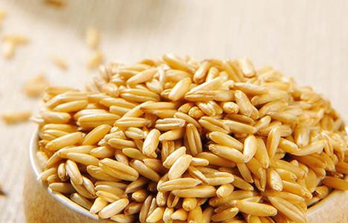 小麦市场压力仍然在