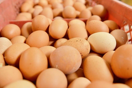 鸡蛋怎么做才有营养？看下面就知道了！