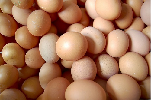 鸡蛋如何挑选新鲜的?下面的方法很实用！