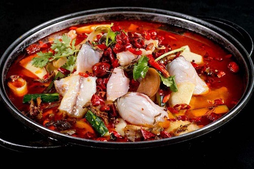 郑州开一家火锅鱼加盟店多少钱？