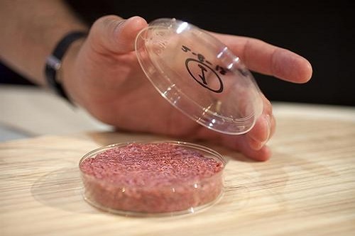 “人造肉”热潮，未来将替代60%肉制品？