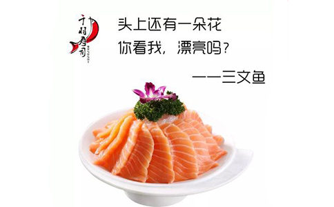 千羽寿司加盟产品图