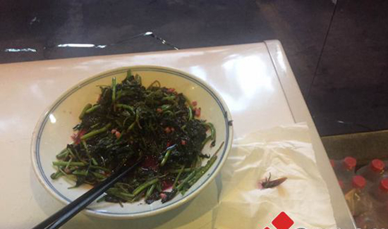 桂林一餐厅食物发现蟑螂