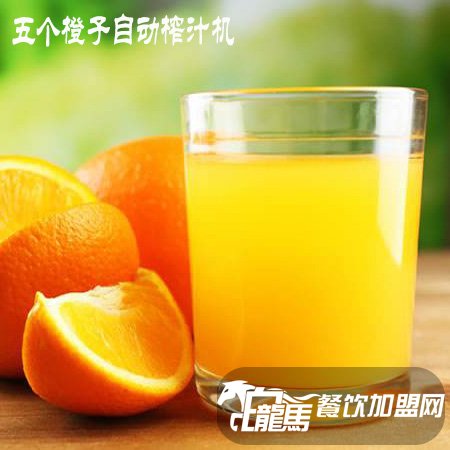 5个橙子榨汁机利润