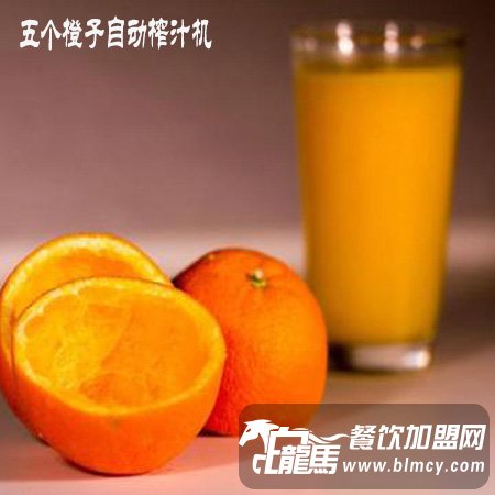自动橙子榨汁机赚钱吗
